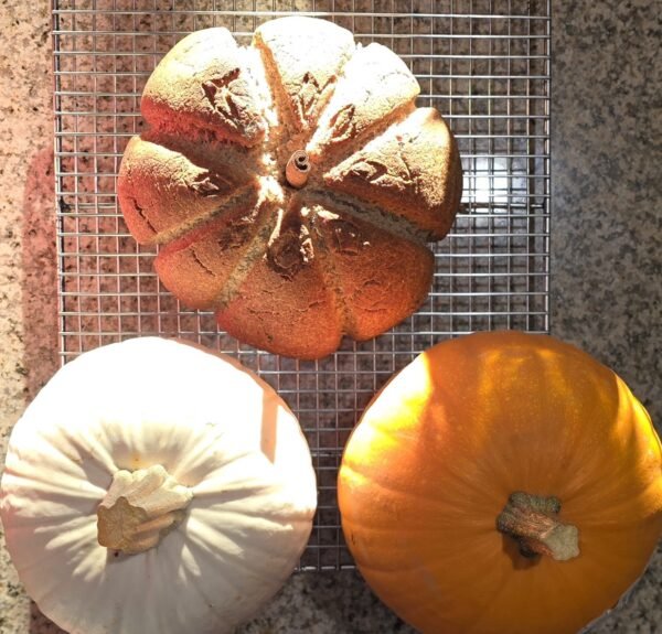 Pumpkin Sourdough
